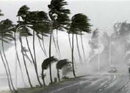 مع بداية دخول «طوبة».. ما سبب تسميته بهذا الاسم؟ وما أشهر الأمثال الذي اشتهر بها؟ | المصري اليوم