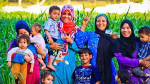 خطوات الاستعلام عن معاش تكافل وكرامة بالرقم القومي - إيجي إن