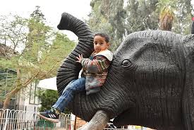 في متناول الجميع.. كم سعر تذكرة حديقة الحيوان 2025؟