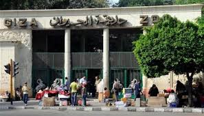 موعد افتتاح حديقة الحيوان الجيزة.. ستصبح مركزا عالميا للترفيه - الوطن