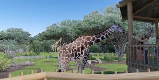 كل ما تحتاج معرفته عن افتتاح حديقة الحيوان في مصر.. المواعيد والتفاصيل