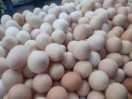 انخفاض أسعار البيض 40%.. اتحاد الدواجن يكشف عن بُشرى سارة (فيديو) | المصري  اليوم