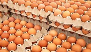 أسعار كرتونة البيض اليوم الثلاثاء 24-3-2026 في بورصة الدواجن والمحال - الوطن