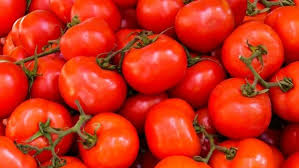 جنون القوطة| سبب ارتفاع سعر الطماطم بالأسواق.. وهذا موعد انخفاضها