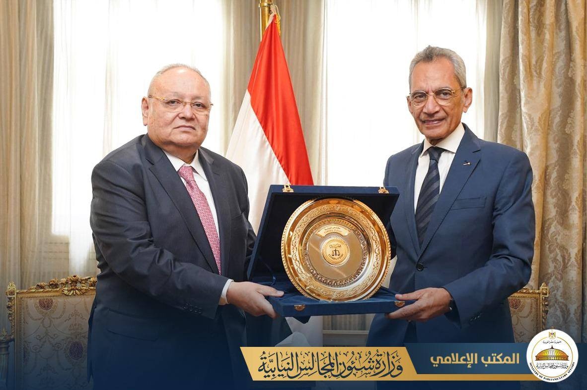 وزير شئون المجالس النيابية يستقبل رئيس مجلس الدولة