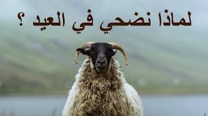 لماذا نضحي في العيد ؟ - YouTube