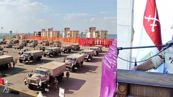 الفريق محمد فريد