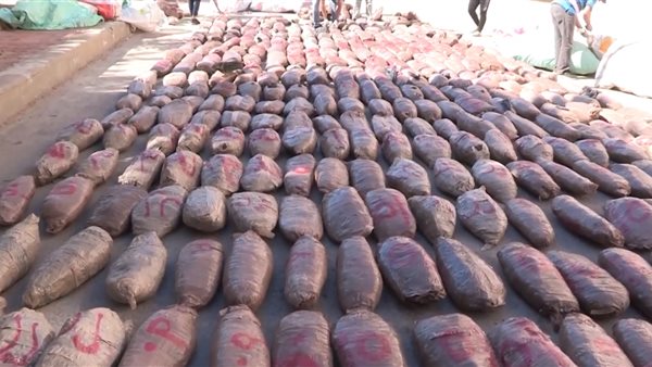 مخدر البانجو