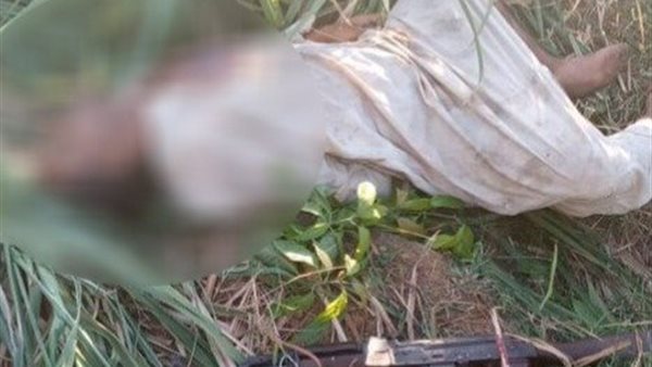 العناصر الاجرامية