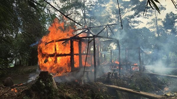 الروهاجينا