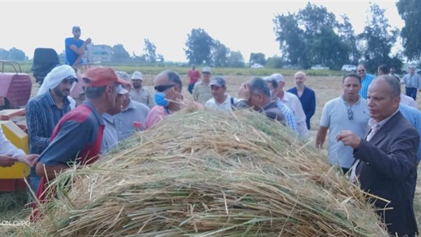 علاء عزوز رئيس قطاع