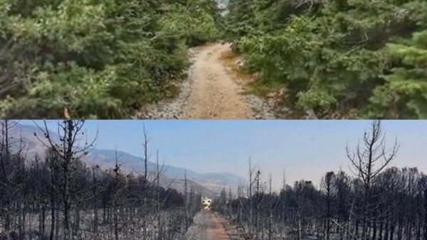 حرائق سوريا 