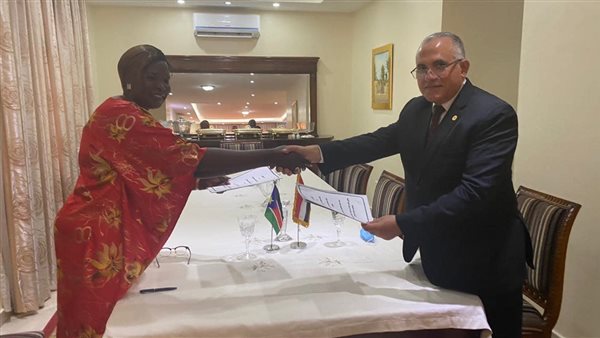 وزير الري المصري