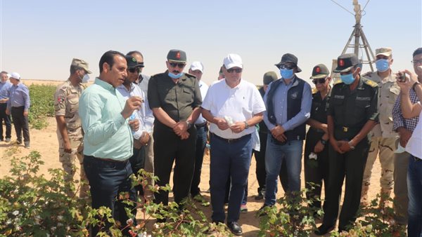 وزير قطاع الاعمال