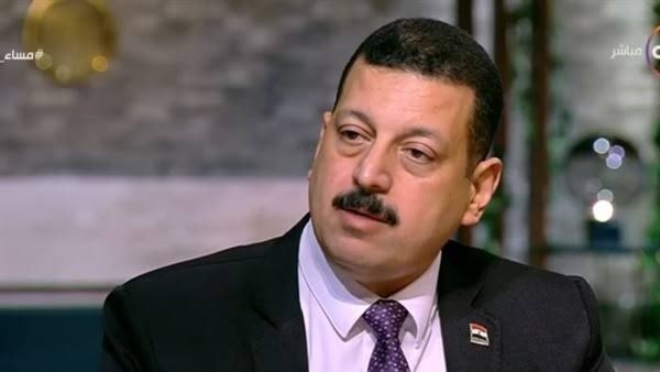 أيمن حمزة، المتحدث