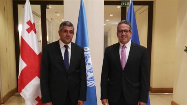 خالد العناني، وزير