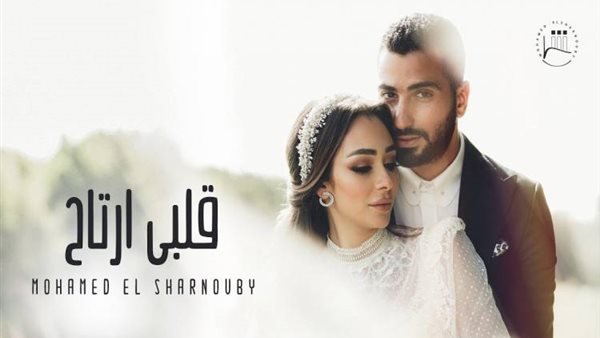 الفنان محمد الشرنوبي