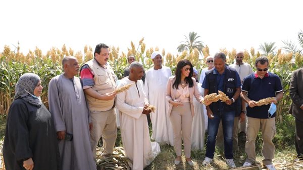 رانيا المشاط، وزيرة