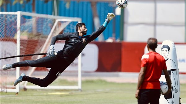 محمد الشناوي