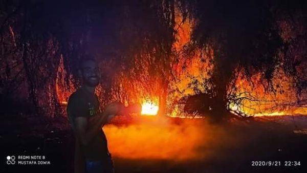 صورة من الحدث