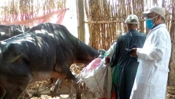 جانب من الجولة