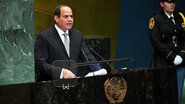 السيسي - أرشيفية