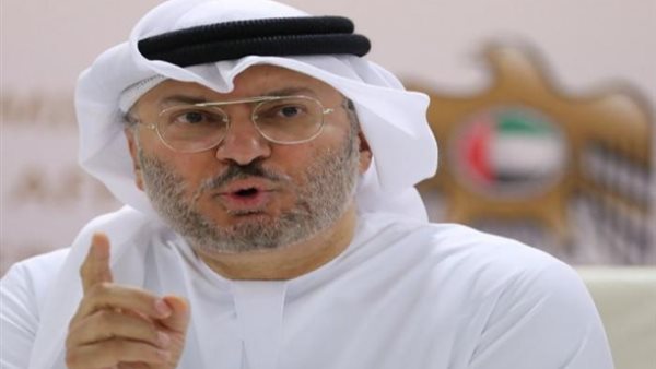 الدكتور أنور بن قرقاش