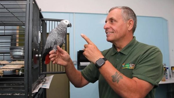 سيرجى لافروف وزير