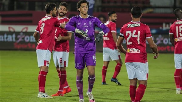 مصطفى شوبير