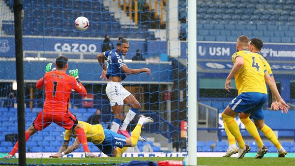 دومينيك كالفيرت لوين