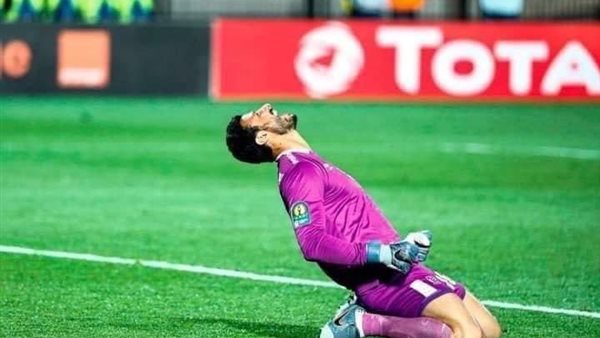 محمد الشناوي