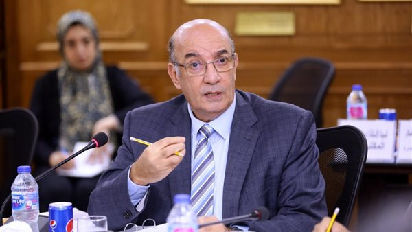  محمد عشماوى، نائب