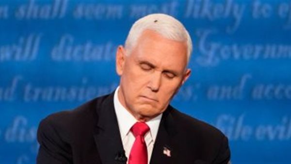 صورة للذبابة التي