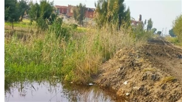 قرية الظواهرة مركز