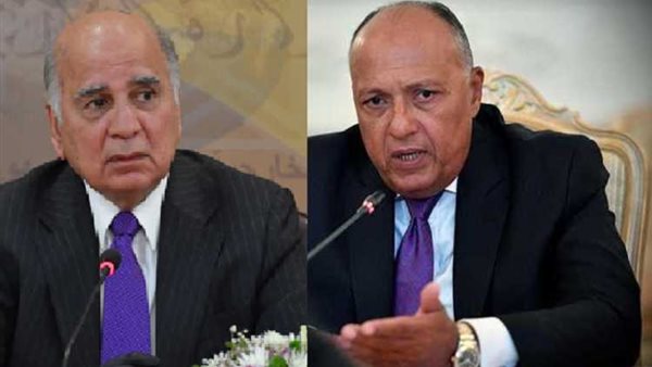 سامح شكرى و وزير