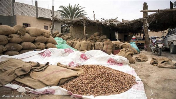 مزارع تمورسيوة