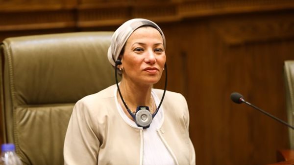 ياسمين فؤاد وزيرة