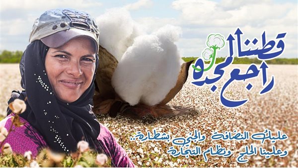 قطاع الاعمال 