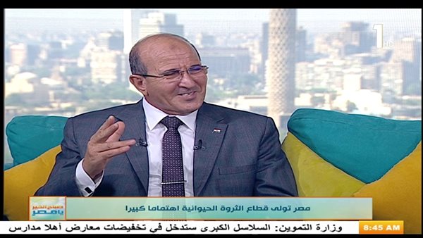 طارق سليمان 