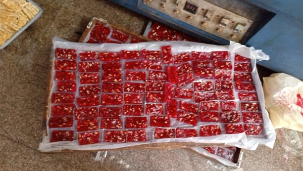 جانب من المضبوطات