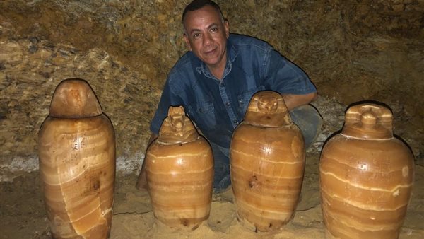 الدكتور مصطفى وزيري