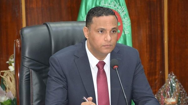 محافظ الدقهلية 