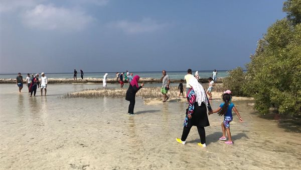 معسكر زهرة المخيمات