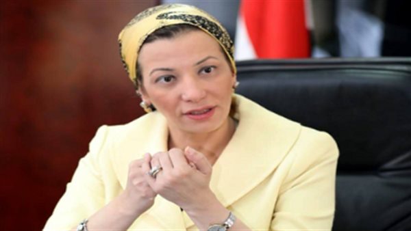 الدكتورة ياسمين فؤاد