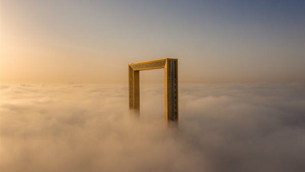 الصورة الفائزة