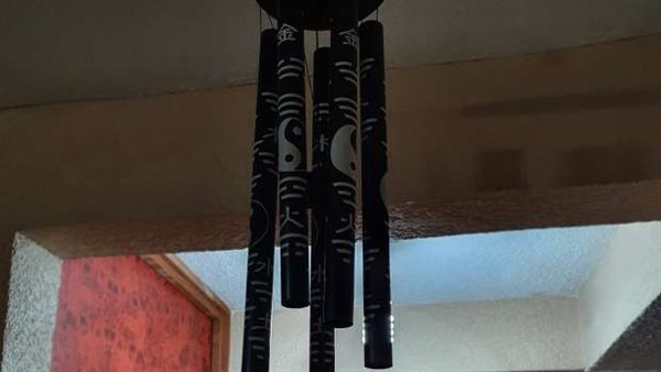 اللوحة في منزل الشاب