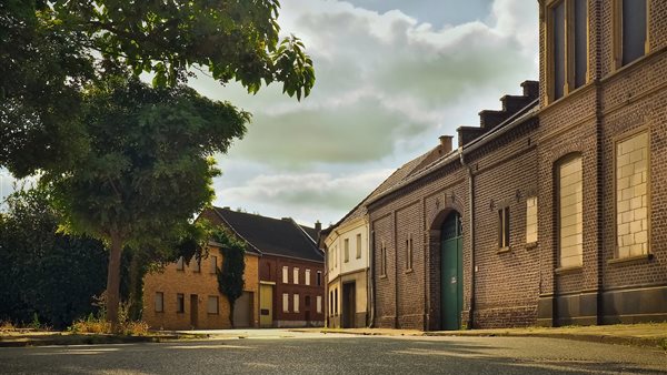 صورة ارشفية