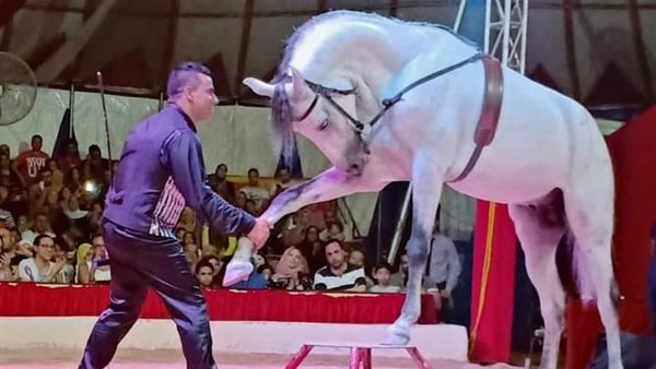  سيرك جمال الحلو