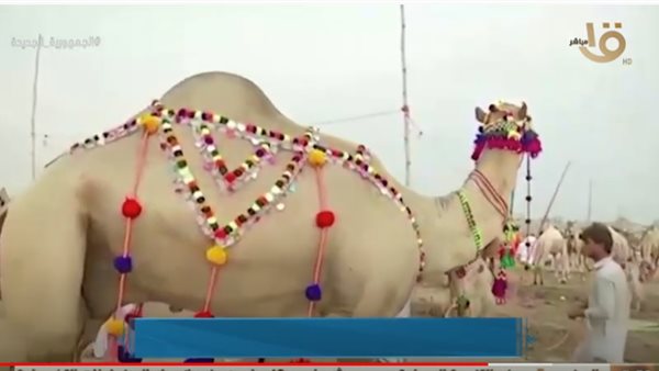 جانب من التقرير