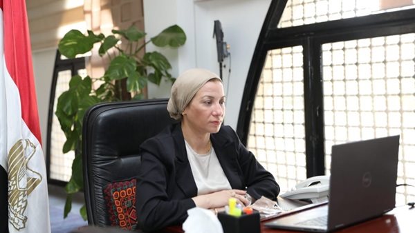 ياسمين فؤاد وزيرة